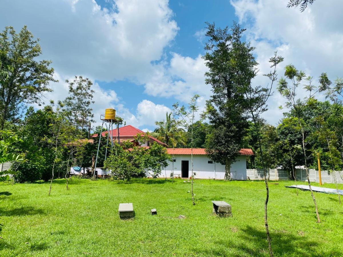 Greenhouse Homestay Siddāpur Exterior photo